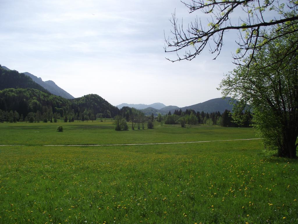Ferienwohnung Am Roemerweg Wald Inzell Ruang foto