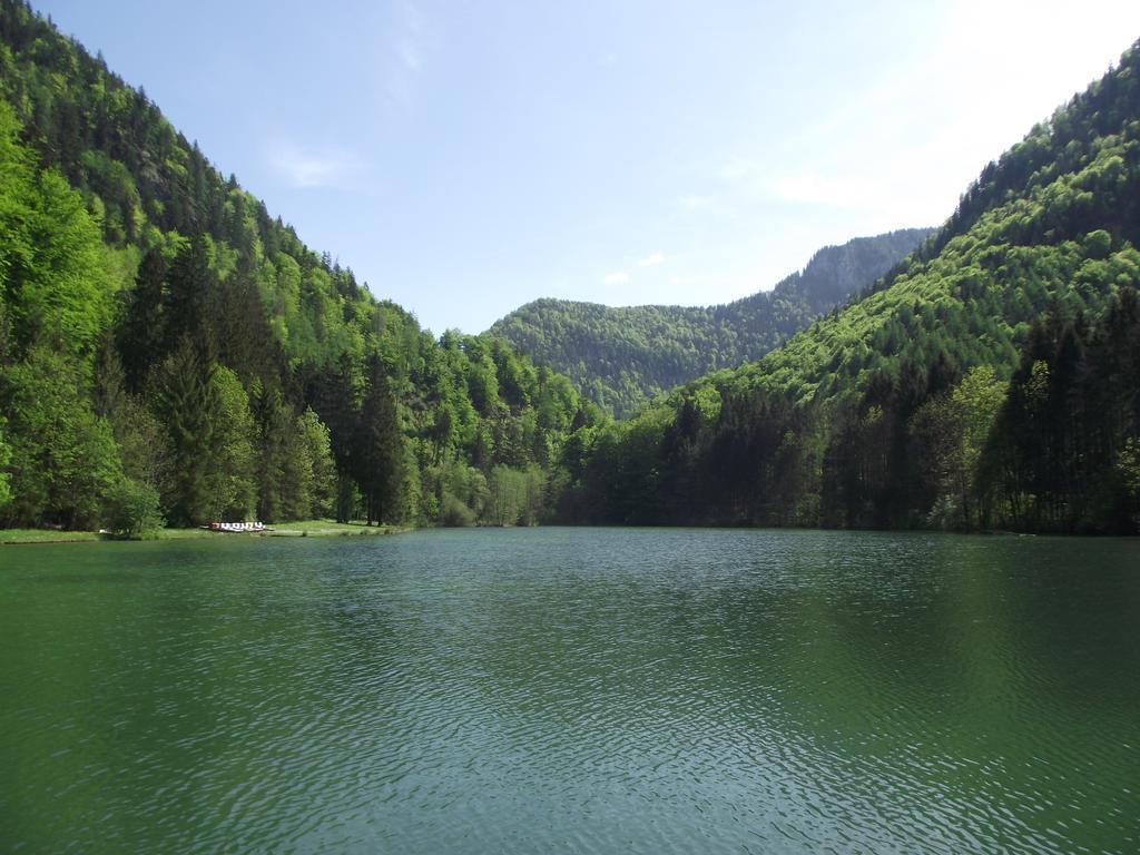 Ferienwohnung Am Roemerweg Wald Inzell Bagian luar foto