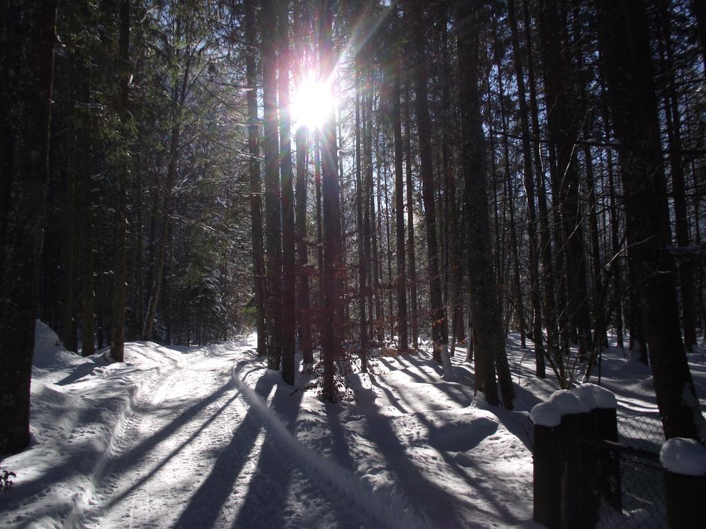 Ferienwohnung Am Roemerweg Wald Inzell Bagian luar foto