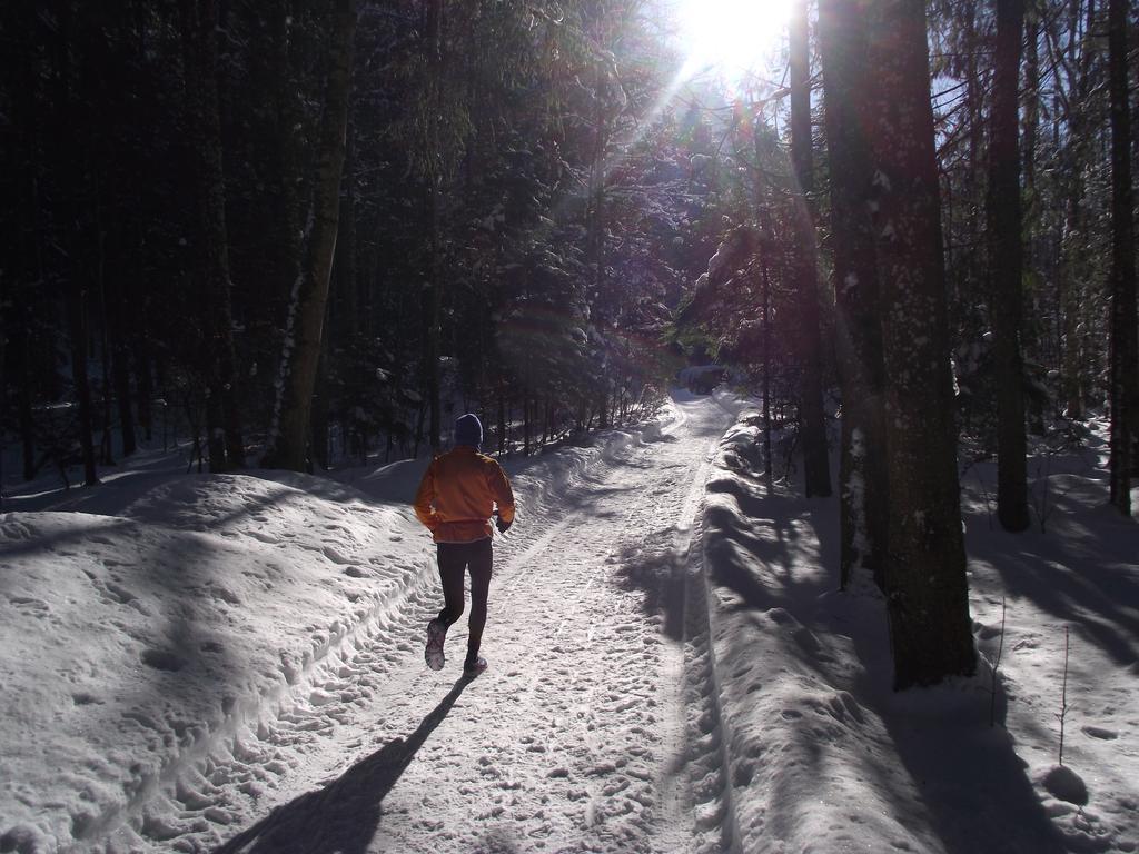 Ferienwohnung Am Roemerweg Wald Inzell Bagian luar foto