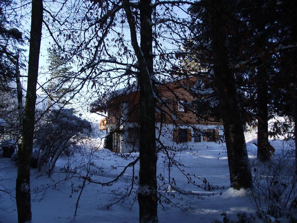 Ferienwohnung Am Roemerweg Wald Inzell Bagian luar foto